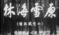 林海雪原57在线观看