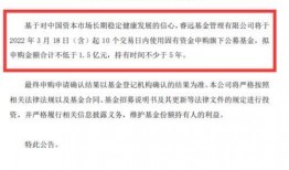 俄乌今日新闻爆料,揭秘今日新闻爆料背后的真相